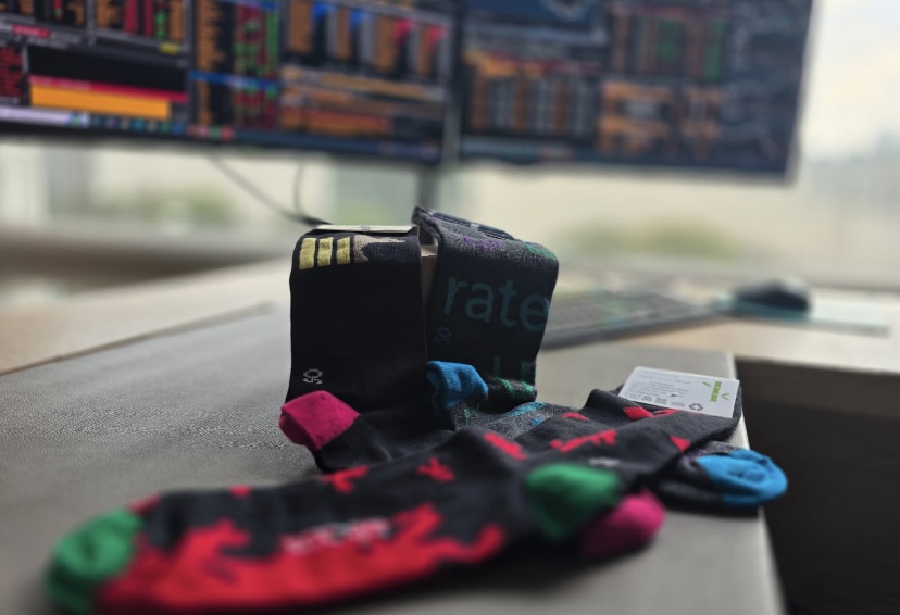 Financial Collection – Risk Factors